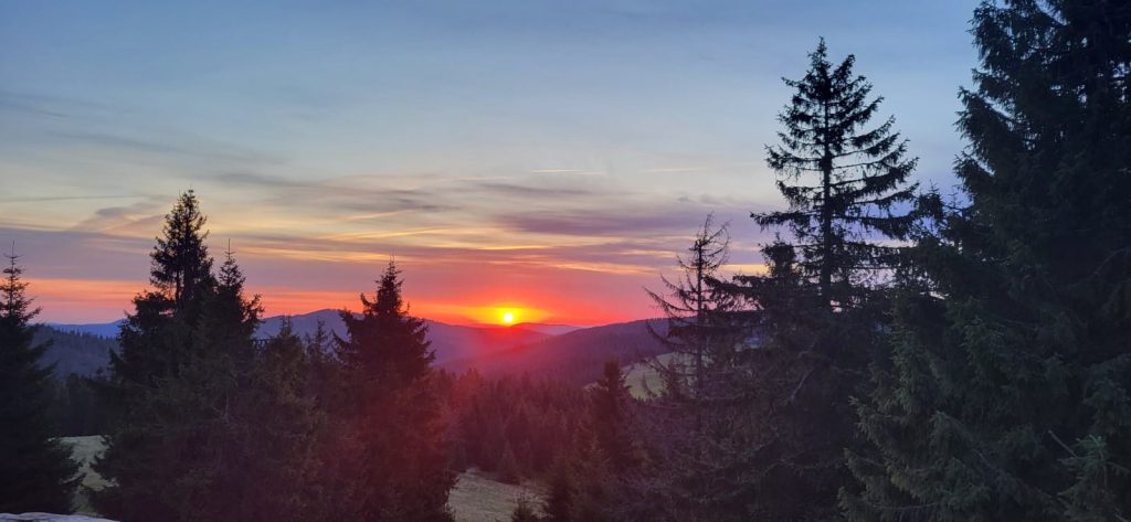Amanecer en turbacz Polonia
